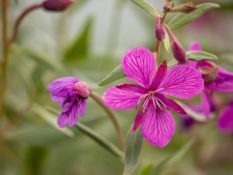 Adobestock 280221529 Cropped