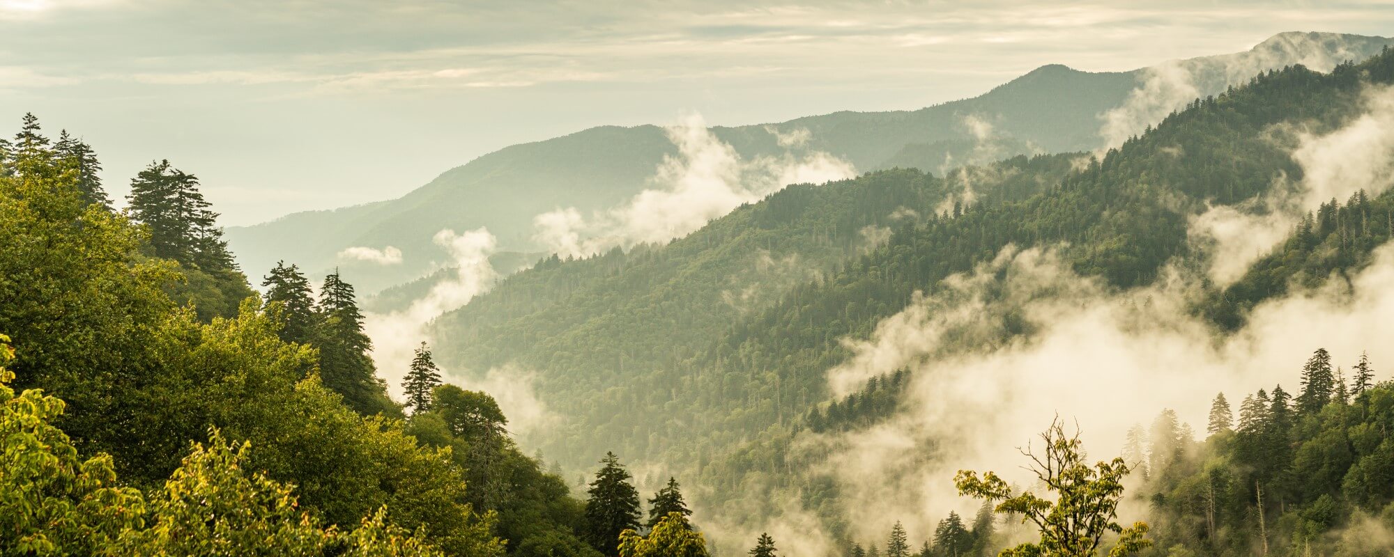 Adobestock 386164704 Cropped